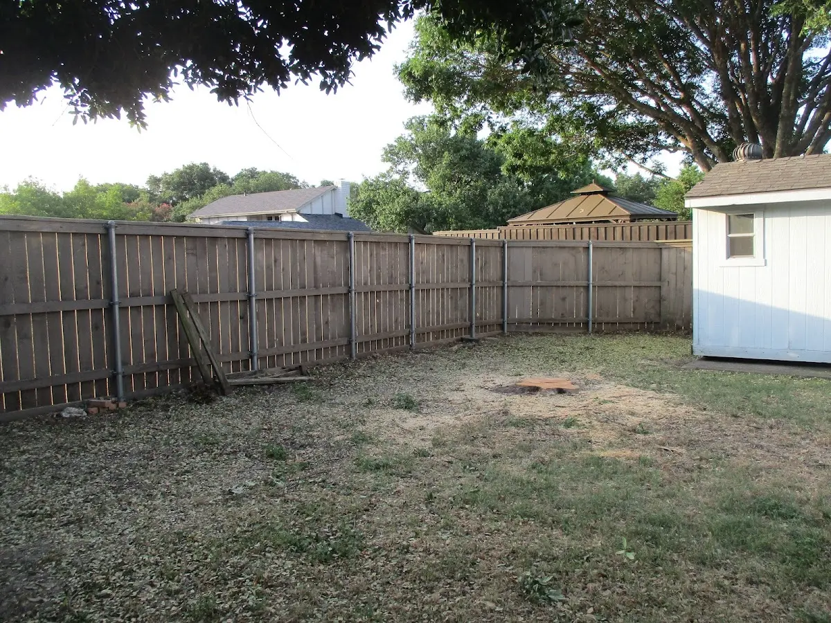 Cleared yard after professional tree removal in Weed