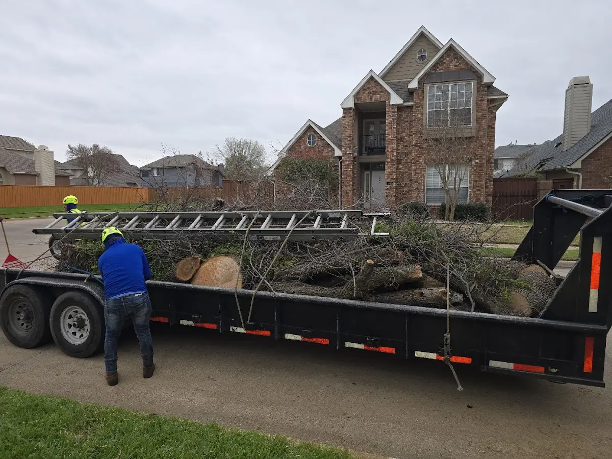 Expert Lot Clearing with proper safety equipment in Weed